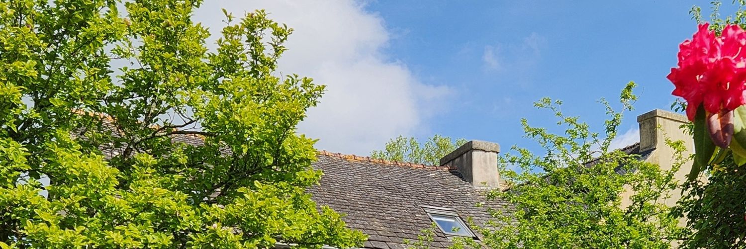 Thierry GEMONET banner