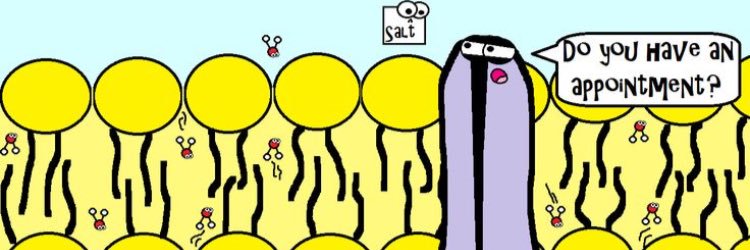 cellmembrane365's profile banner image