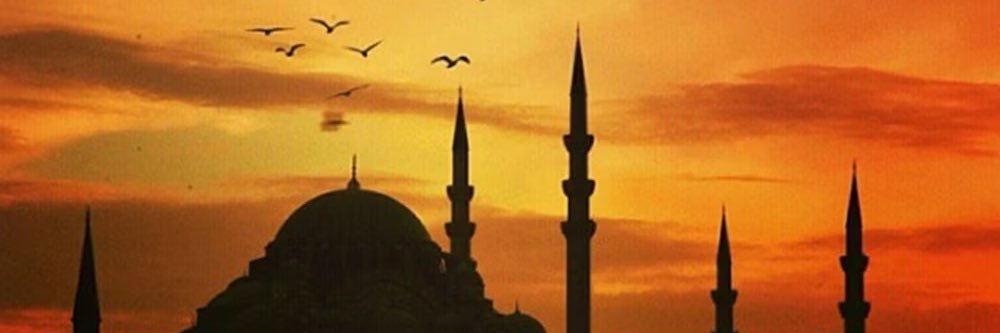 Hikmet Genc's banner