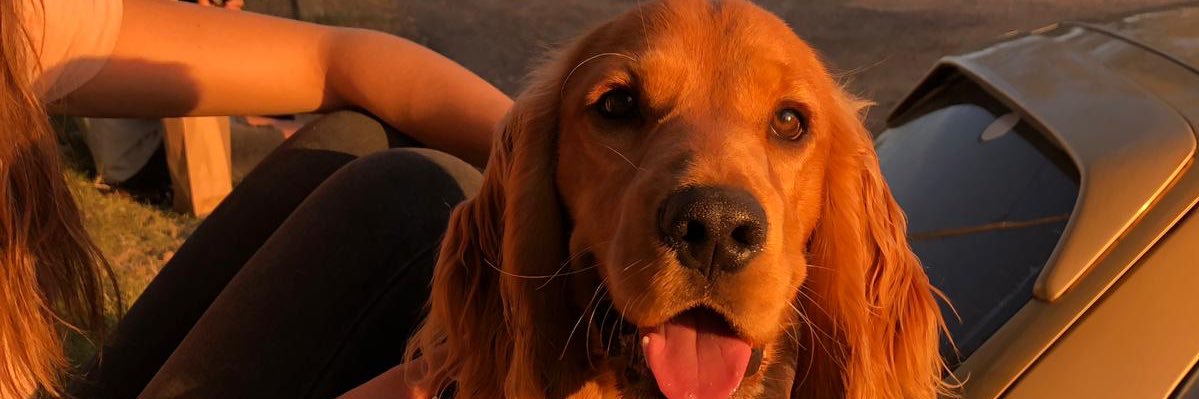 AgusFuentesTB's profile banner image