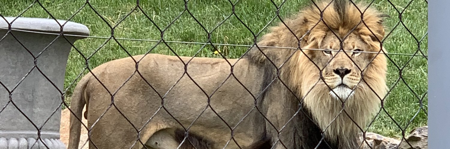 optionsmaster banner