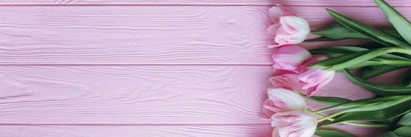 sevguc Profile Banner