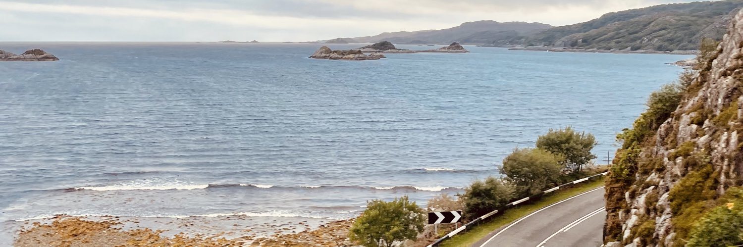 Eleanor Morris BSc (Hons) banner