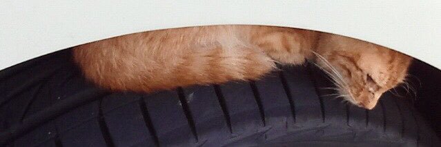 あや@ぐでねこ banner