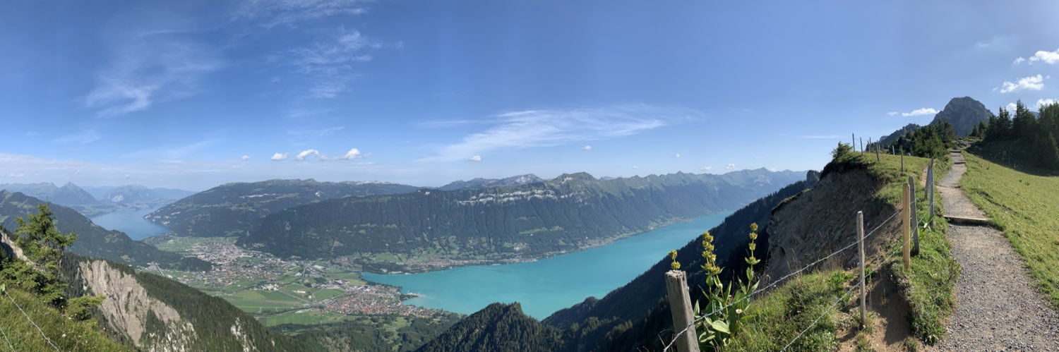 LawlessLizard banner