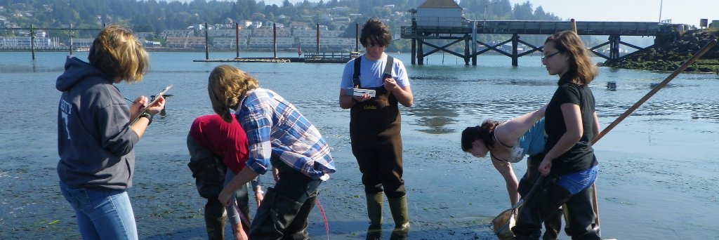Oregon Coast STEM banner