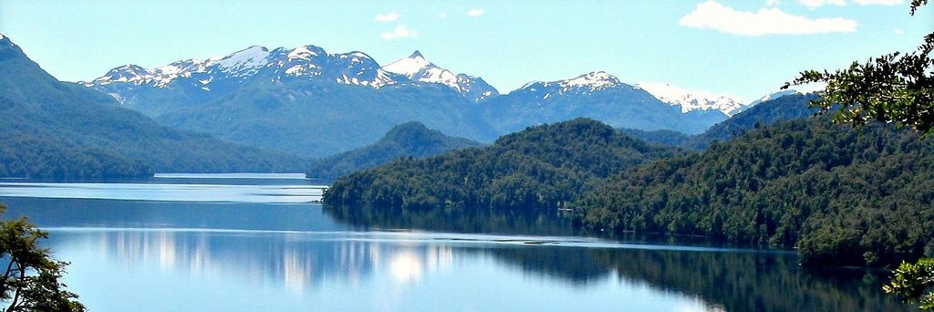 Julio Barbón banner