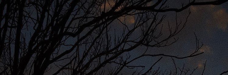 Rauł Rødriguez banner