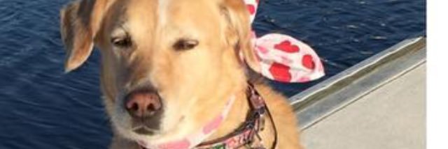 ABessey13's profile banner image