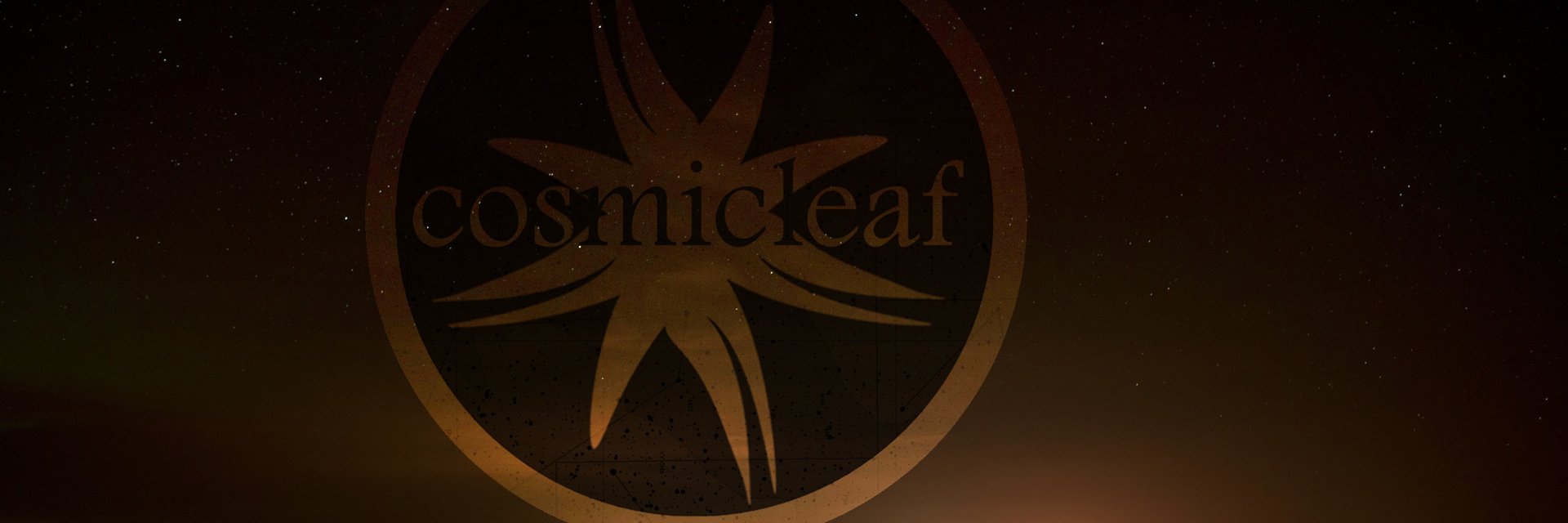 cosmicleaflabel's profile banner image