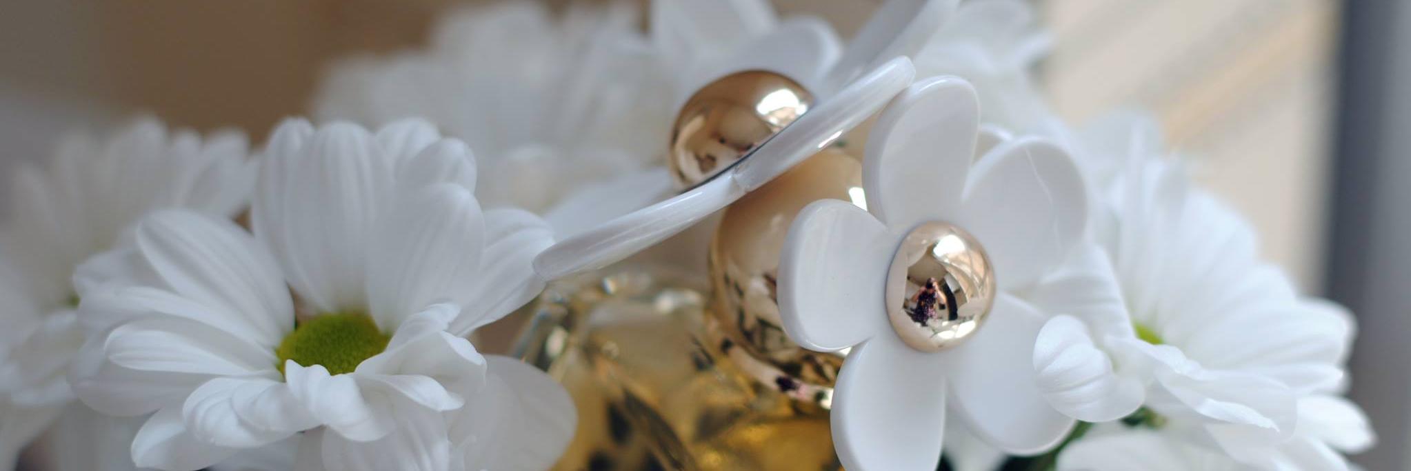 🍍 Pauline R.🍍 banner