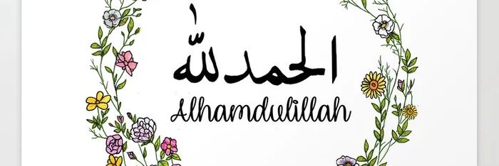 141Gul's profile banner image