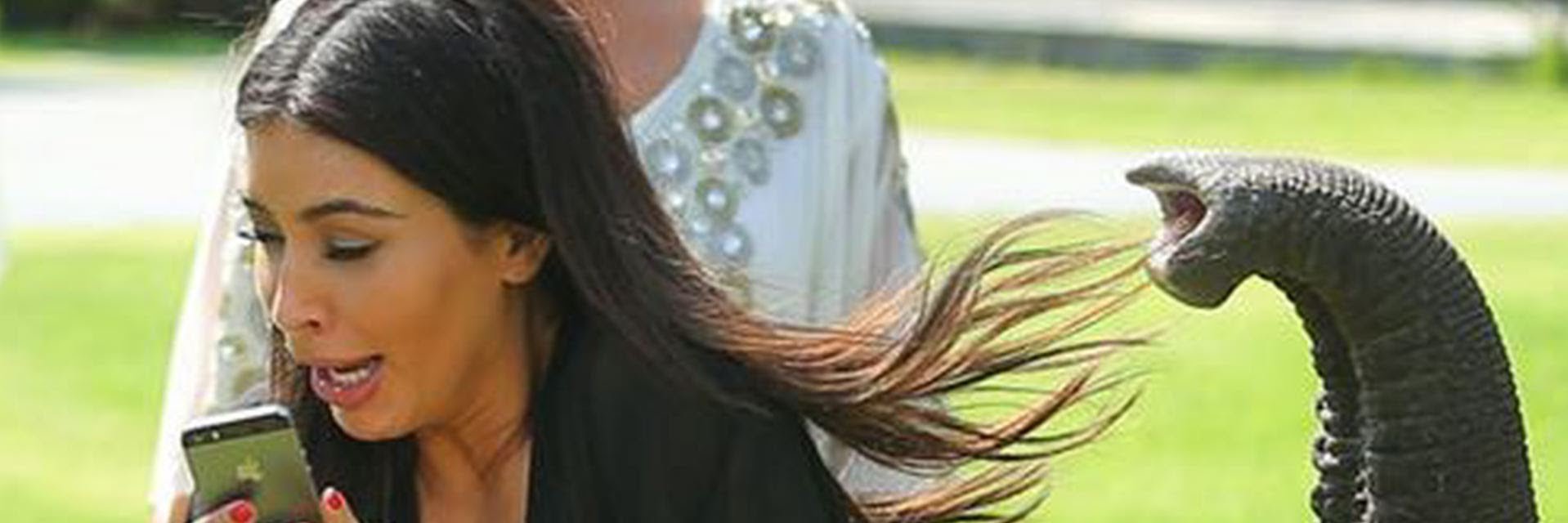 Megan Reynolds banner
