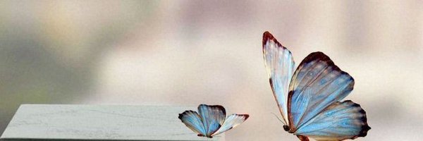 3_lil__ Profile Banner