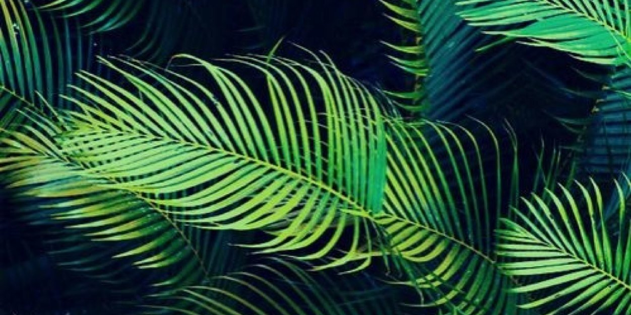 Kikipearce's profile banner image