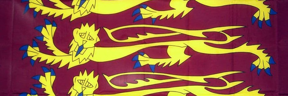 TheRealKing 🥇 banner