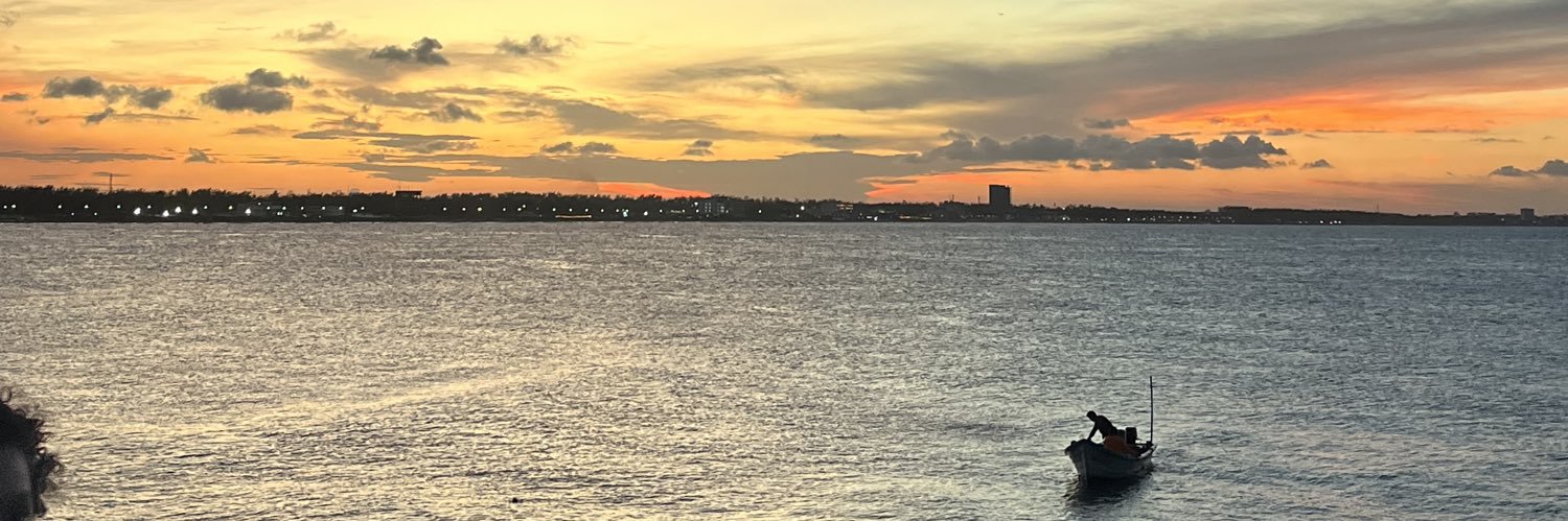 aleeepi's profile banner image