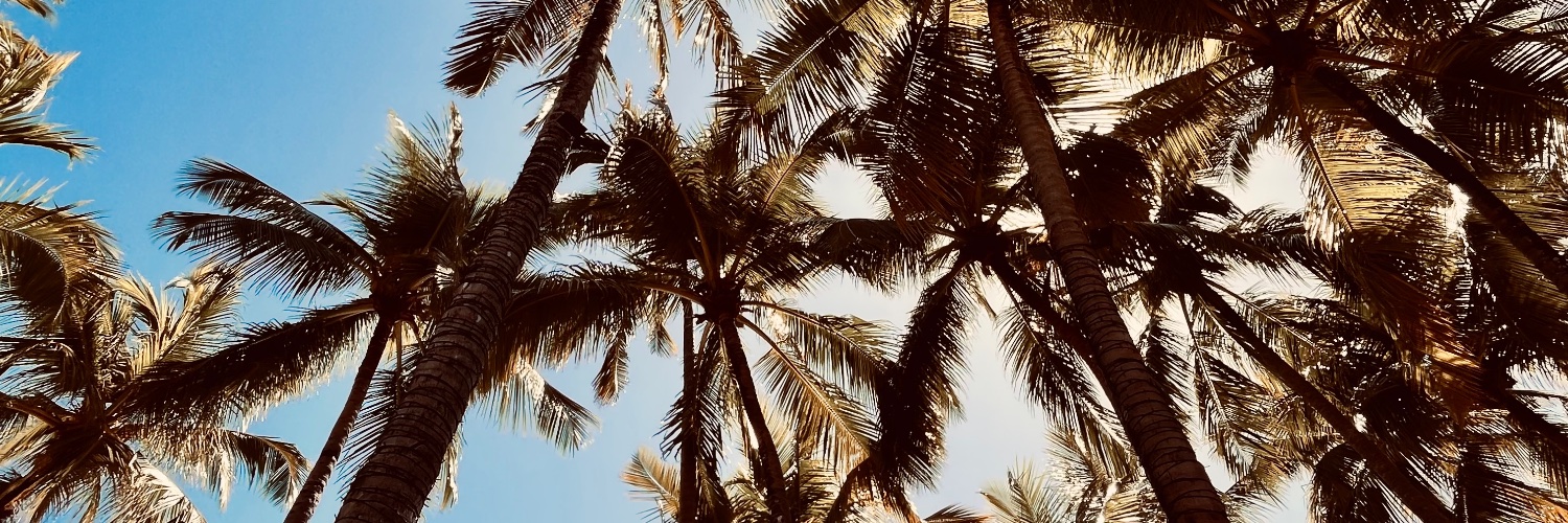 Bru banner