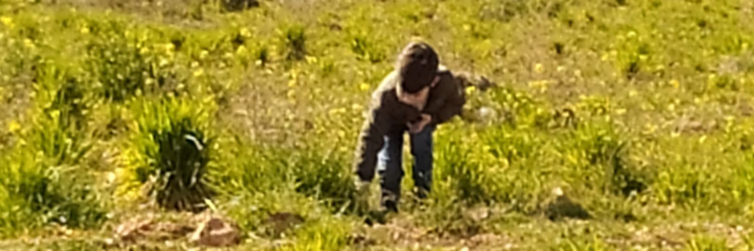 rapedi79's profile banner image