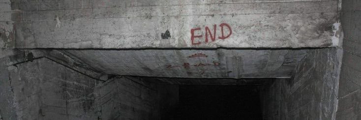 zuzu's banner