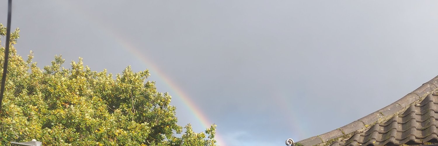 Miss P 🌍🙋‍♀️🏳️‍🌈 banner