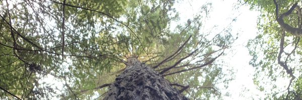 clarychka Profile Banner