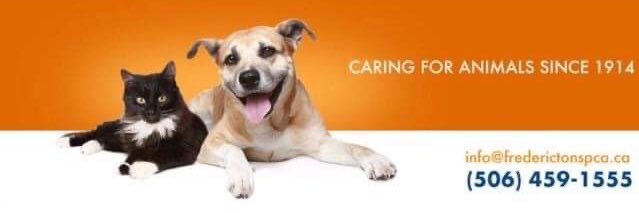 Fredericton SPCA banner