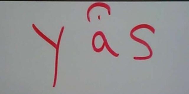 tbhfermata's profile banner image