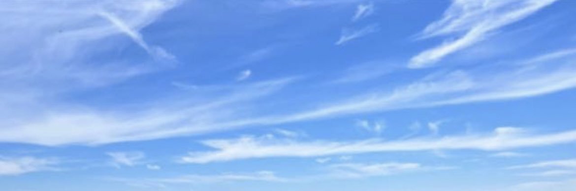 CarlieWhitee's profile banner image