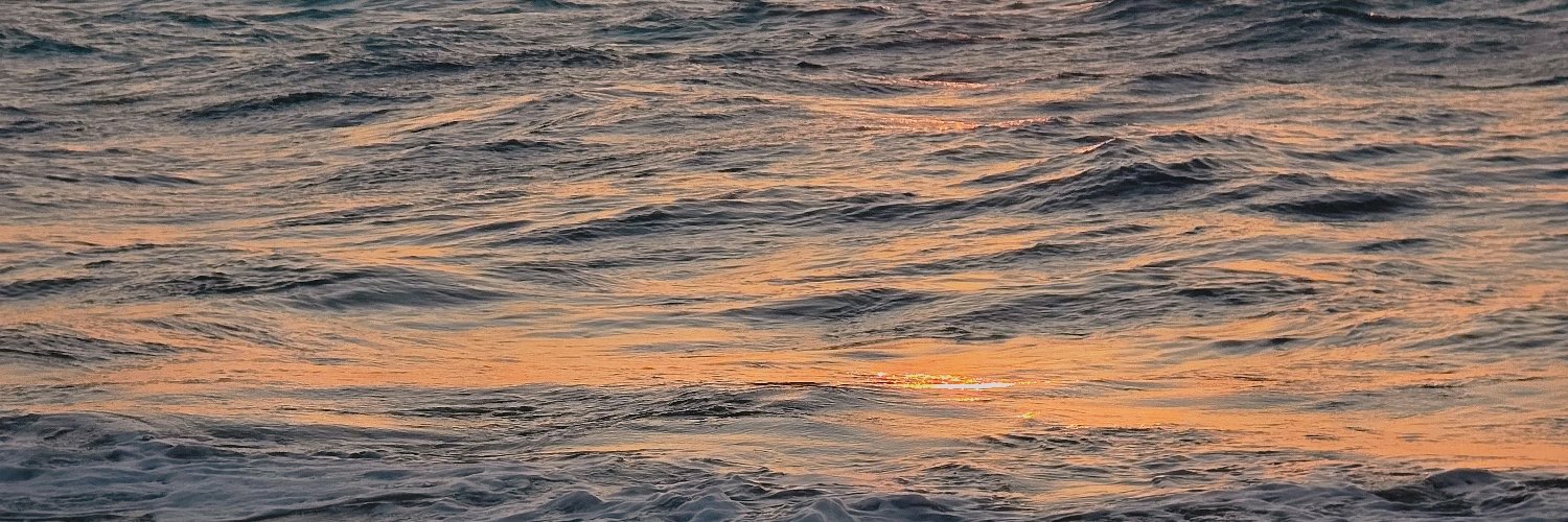 EishaHany's profile banner image