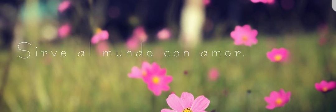 NancyVeUl's profile banner image