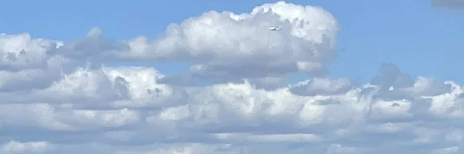 Mads S Bergholt banner