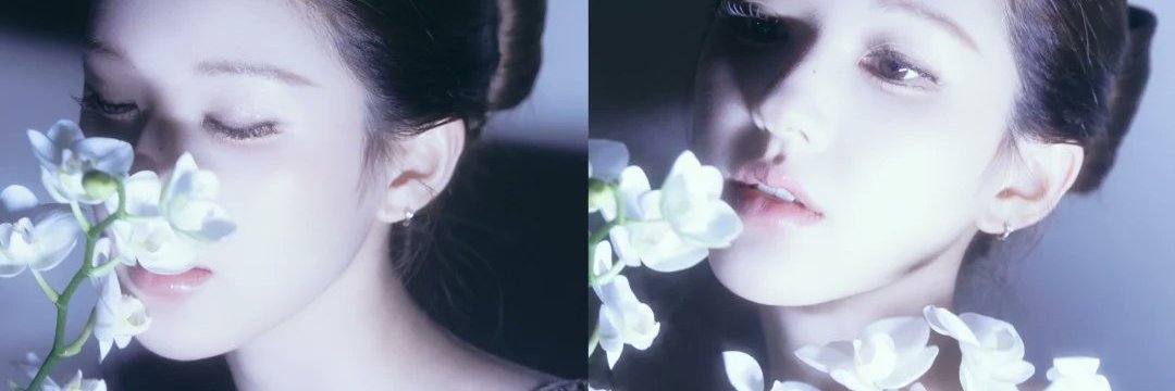 loyards's profile banner image