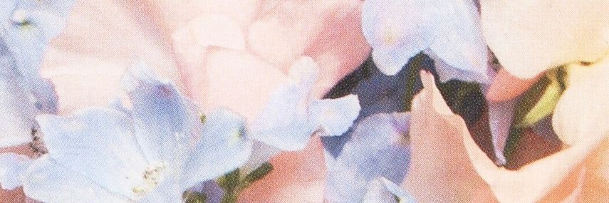 julisrod's profile banner image