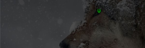 Wooded Wolf Profile Banner