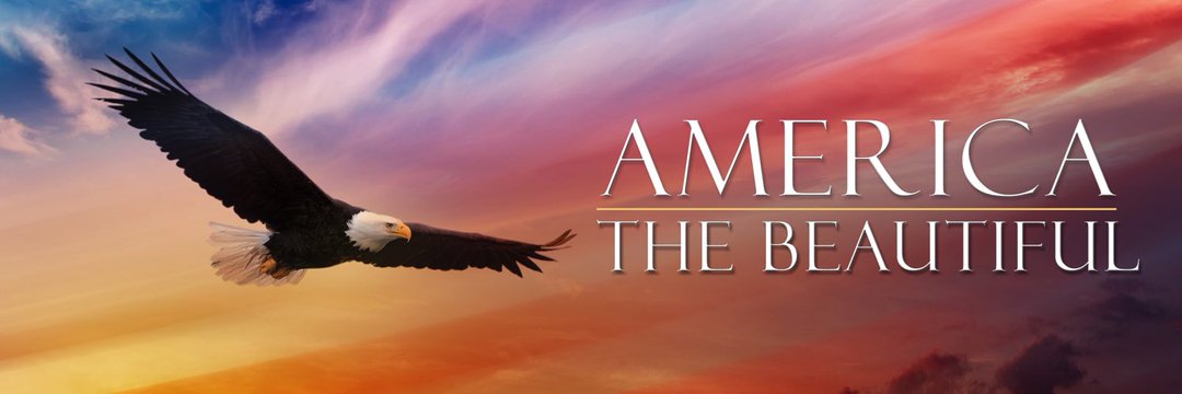 Amy Long Esq. banner