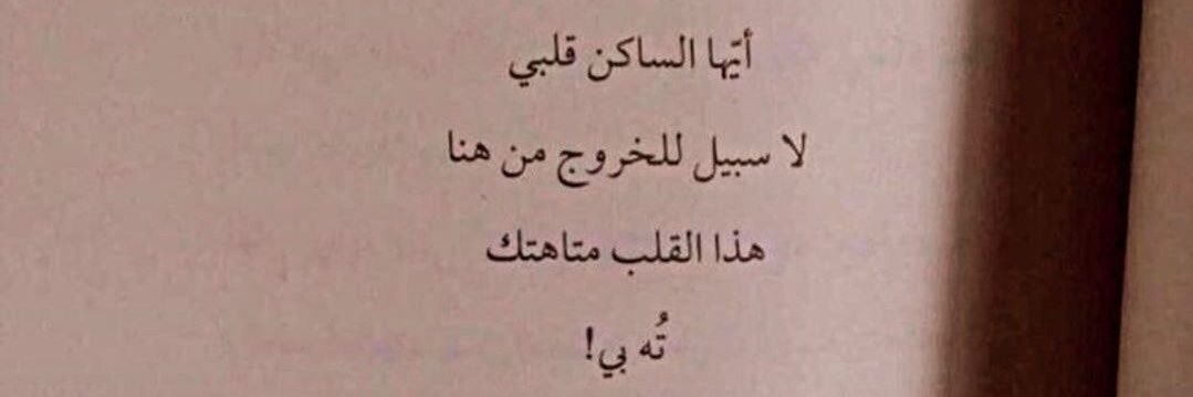 ⋆.wem𐙚 ̊ banner