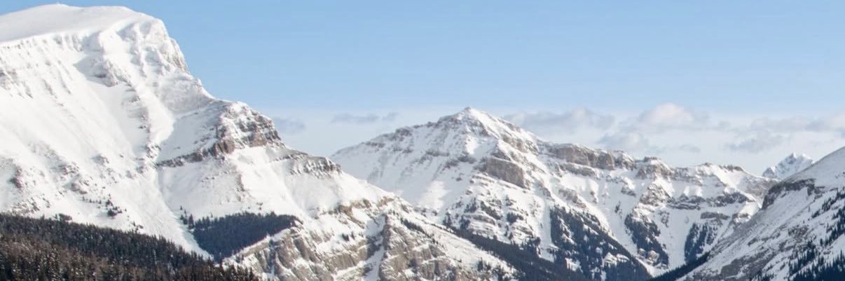 Travis banner