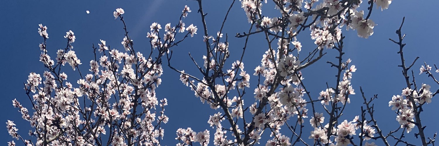 Lllllwinwin's profile banner image