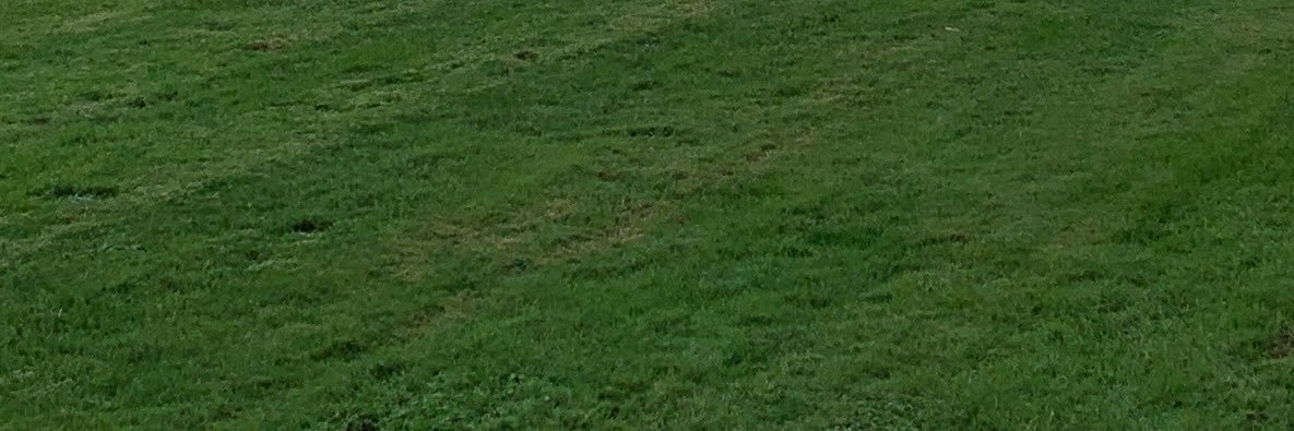 hernan cortes el conquistador banner