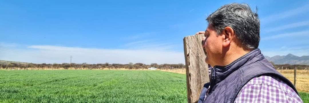 Javier Castrellón banner