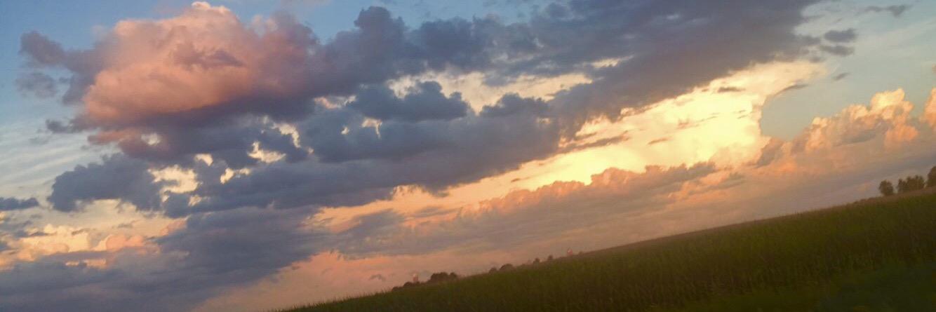 Rachel_P1234's profile banner image