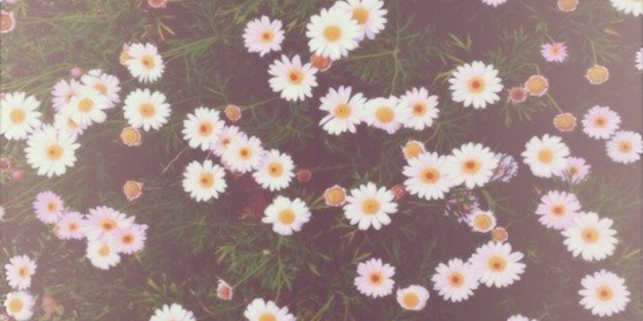 SkylarGreyMU's profile banner image