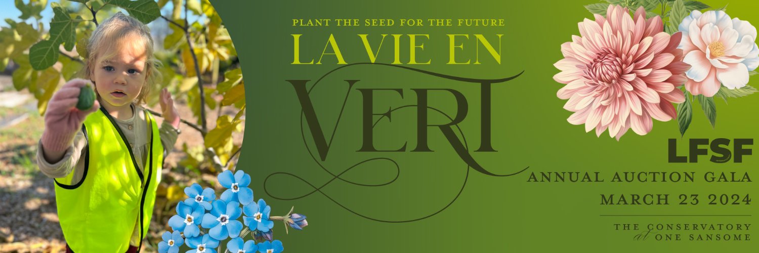 Advancement LFSF banner