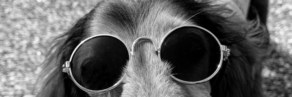chapizo7z's profile banner image