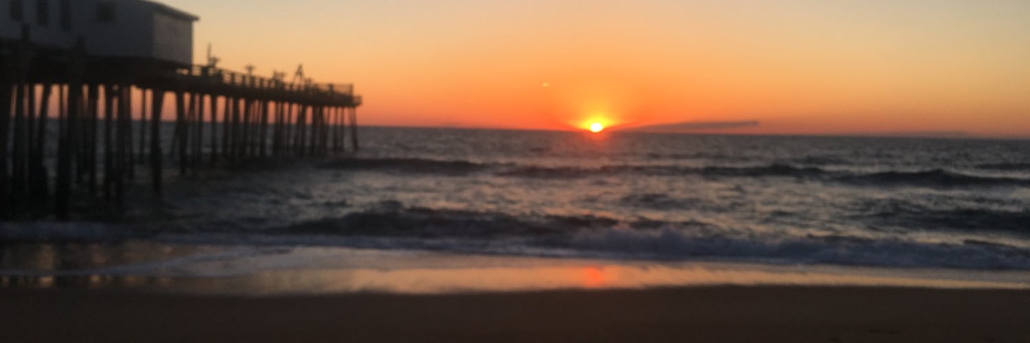 brtolson's profile banner image