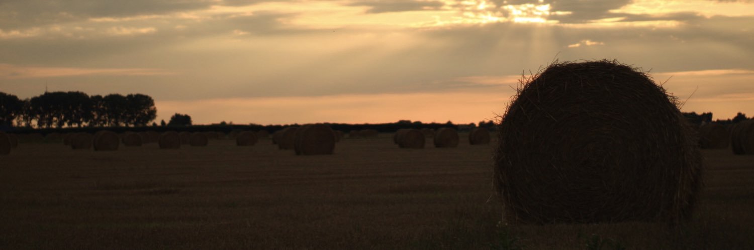 RBiesheuvel's profile banner image