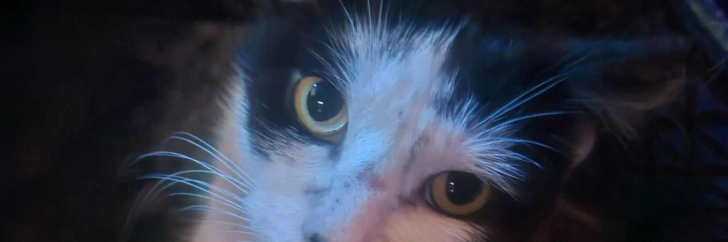 Takerluke's profile banner image