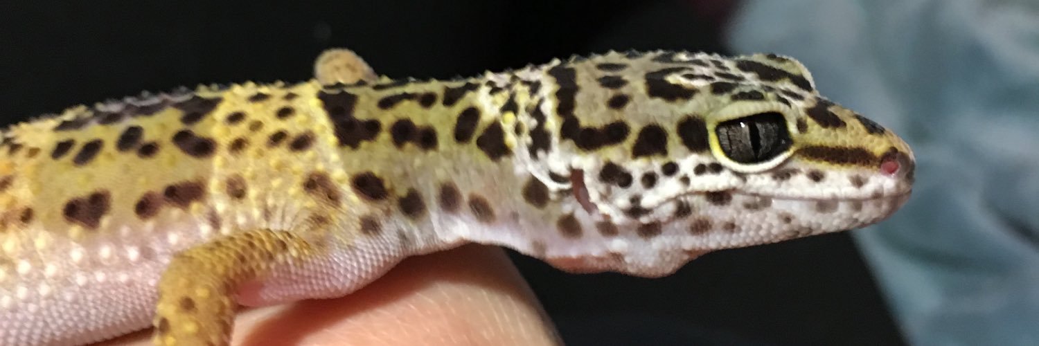 Reese_Morgan99's profile banner image