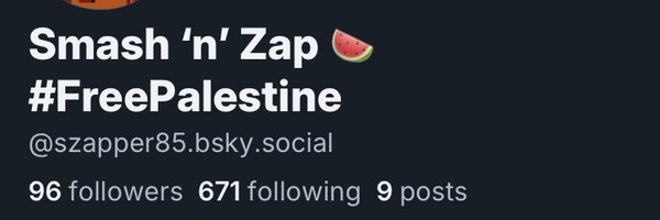 SZapper85 Profile Banner